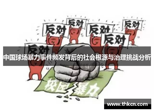 中国球场暴力事件频发背后的社会根源与治理挑战分析