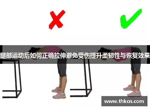 腿部运动后如何正确拉伸避免受伤提升柔韧性与恢复效果